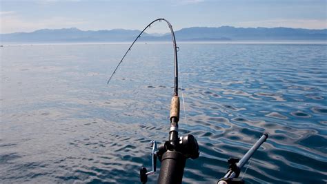 North Carolina guide to recreational saltwater fishing.